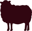 Beef & </br>Sheep